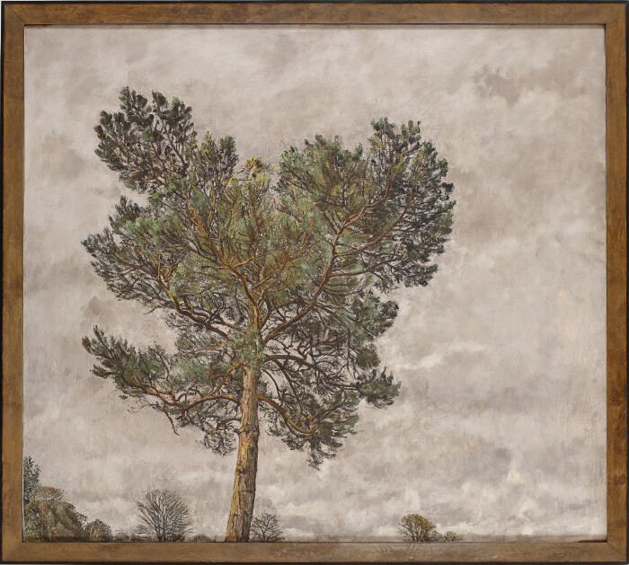 Christopher Bramham, Pine Tree, Winter, 2002, oil on canvas, 128.9 x 142.9 cm.